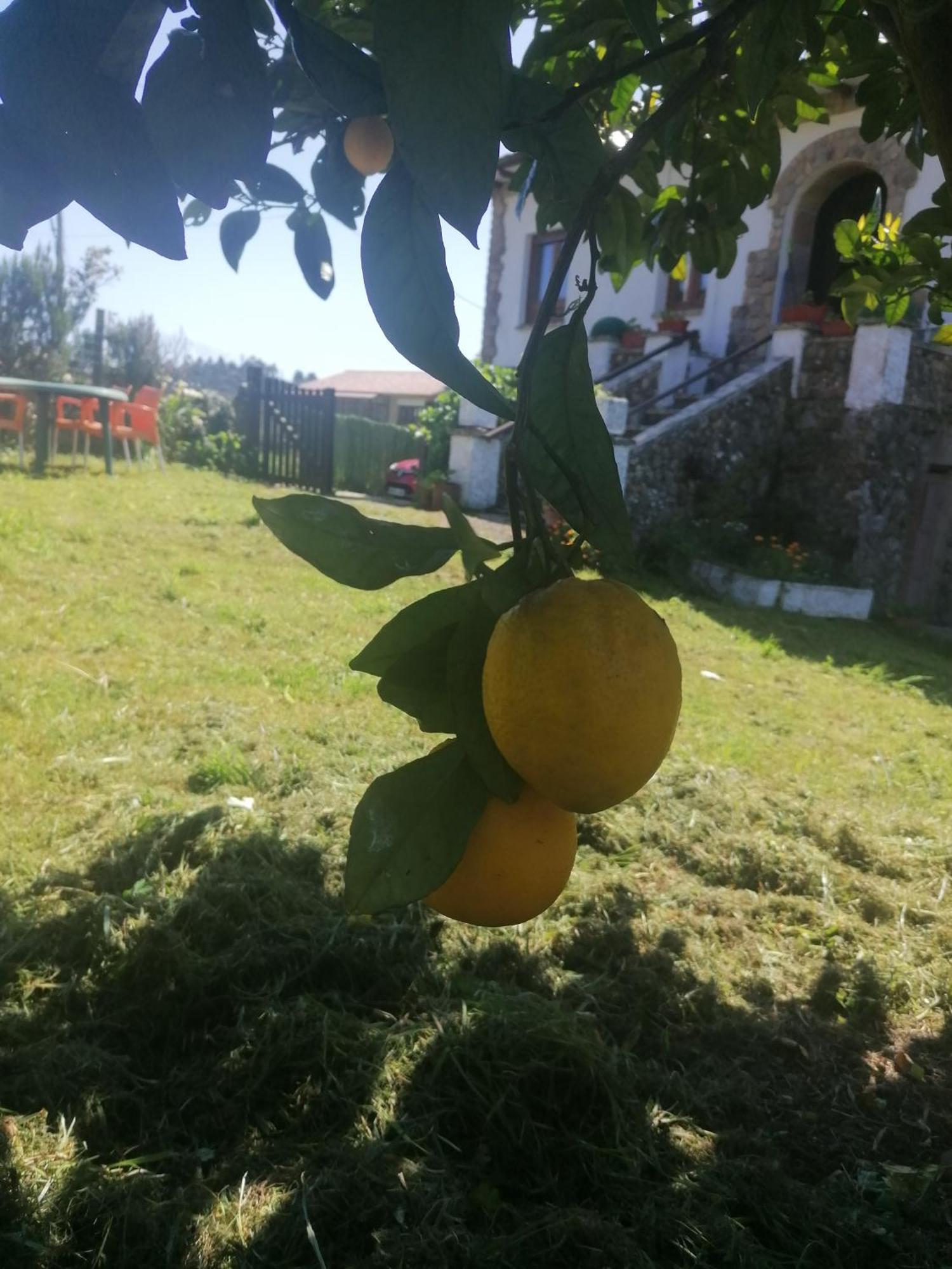 Apartamento En Casa Rural Con Amplio Jardin A 5 Min De La Playa Situacion Inmejorable La Riera  Exterior photo